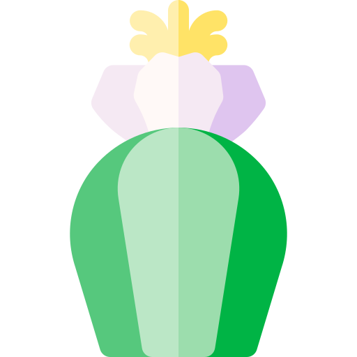 cactus san pedro Basic Rounded Flat icono