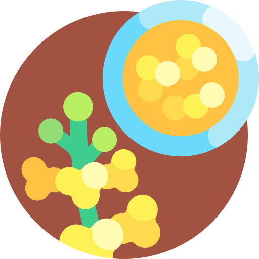 Mustard Detailed Flat Circular Flat icon