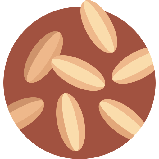 クミン Detailed Flat Circular Flat icon