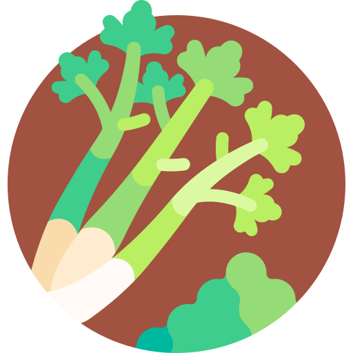 Celery Detailed Flat Circular Flat icon