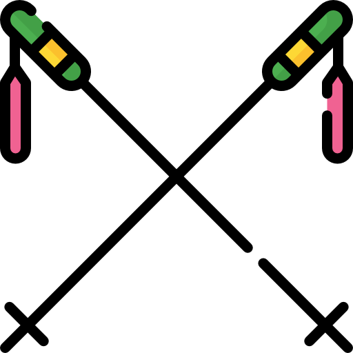 bastoncini da sci Special Lineal color icona