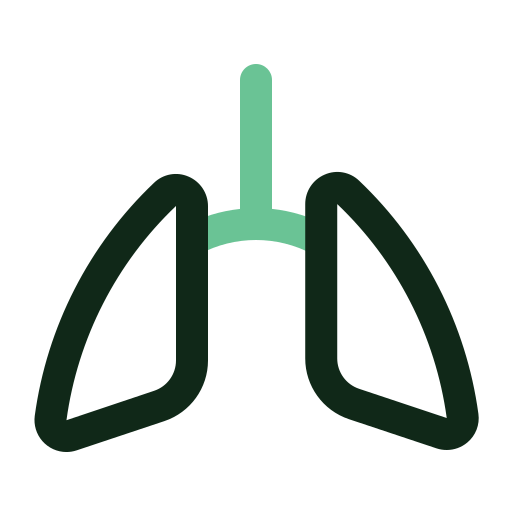 Lung Generic color outline icon