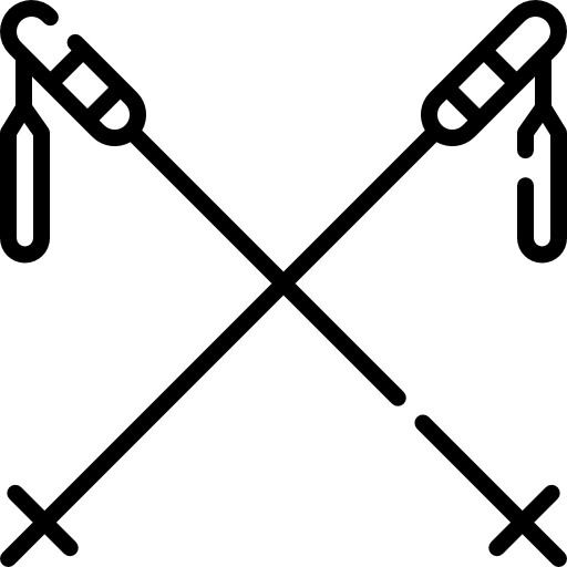 스키 폴 Special Lineal icon