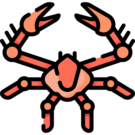 parthenopidae Special Lineal color icon