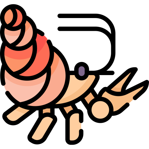 Hermit crab Special Lineal color icon
