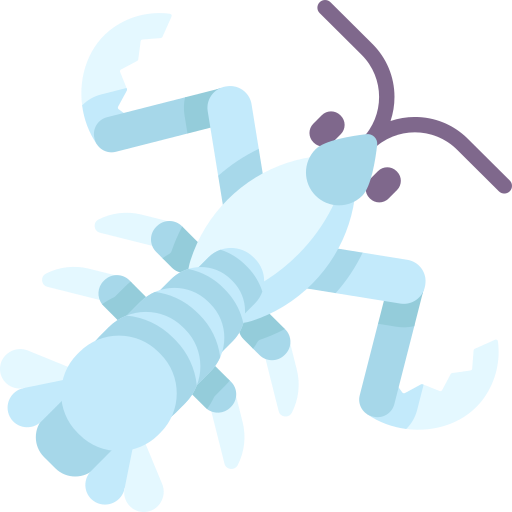 camarón mantis Special Flat icono