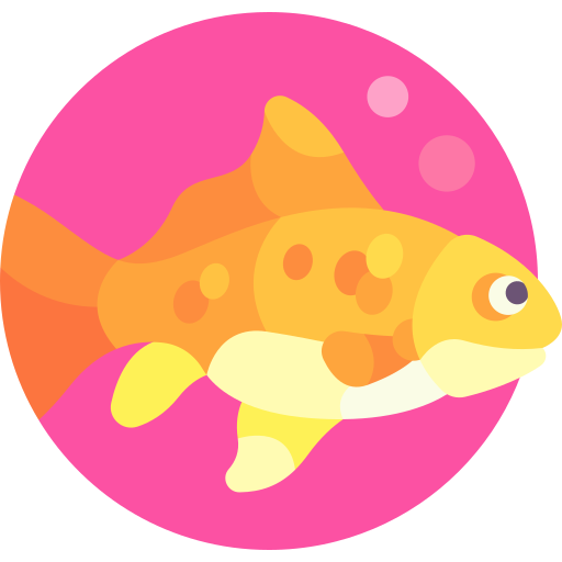 pez de colores Detailed Flat Circular Flat icono