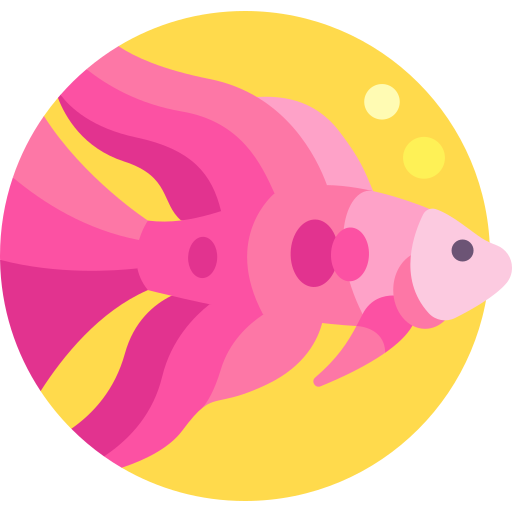 Siamese fighting fish Detailed Flat Circular Flat icon