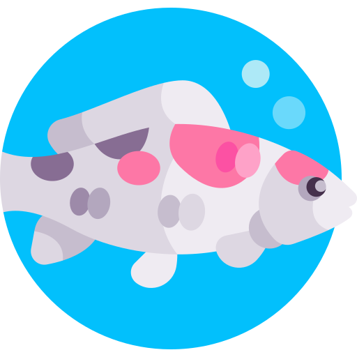 Koi Detailed Flat Circular Flat icon