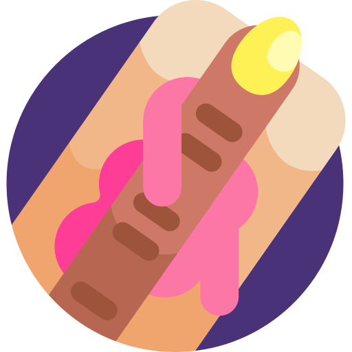 Hotdog Detailed Flat Circular Flat icon