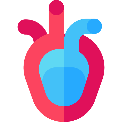 Ventricle Basic Straight Flat icon