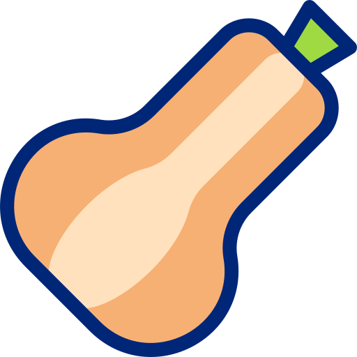バターナッツ Basic Accent Lineal Color icon