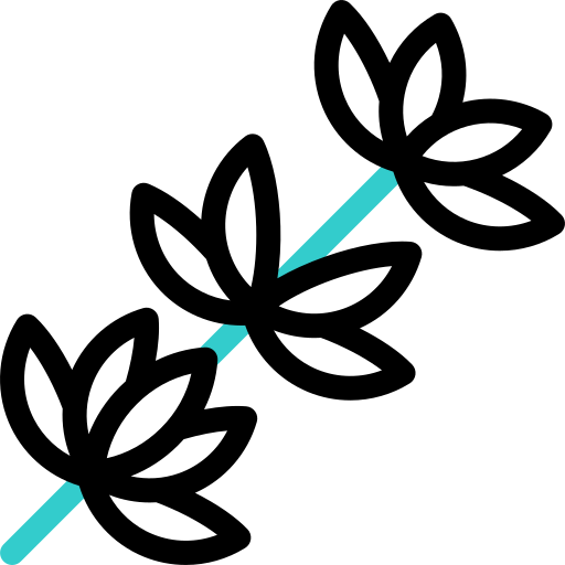 Тимьян Basic Accent Outline иконка