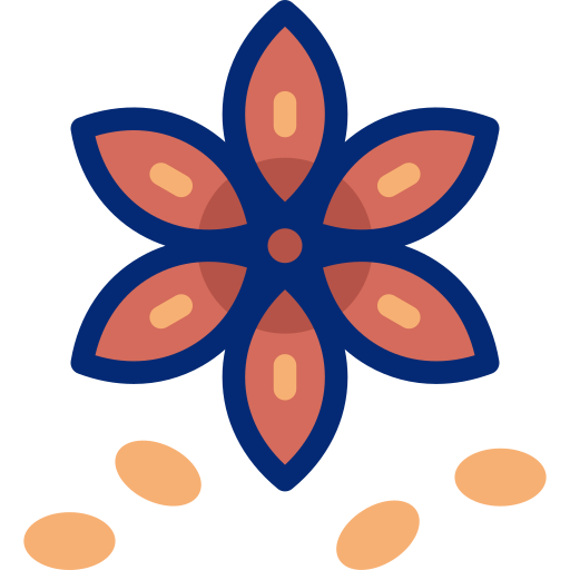 Star anise Basic Accent Lineal Color icon