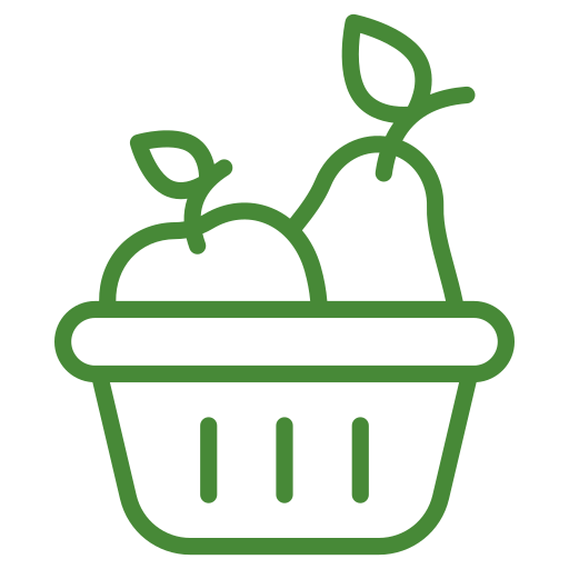 obst Generic color outline icon