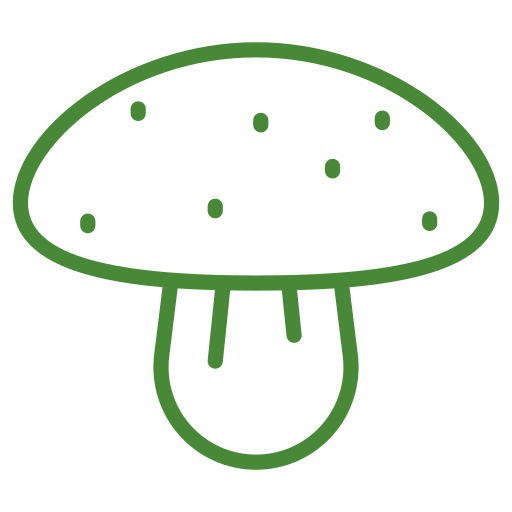 cogumelos Generic color outline Ícone