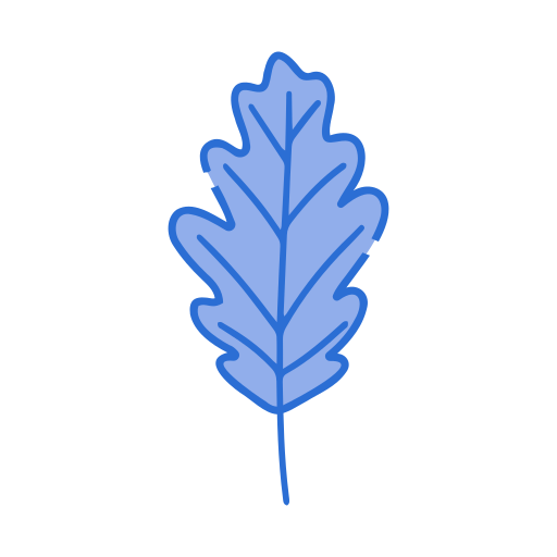 Oak leaf Generic color lineal-color icon