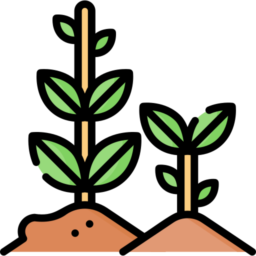 Растения Special Lineal color иконка