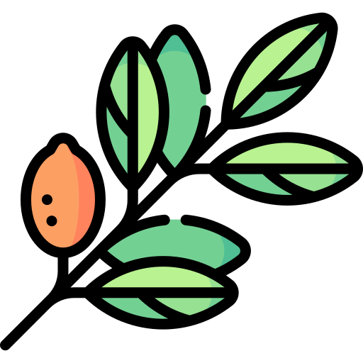 나뭇가지 Special Lineal color icon