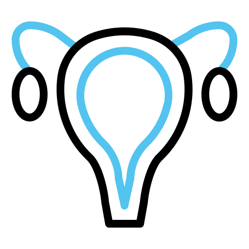 Uterus Generic color outline icon