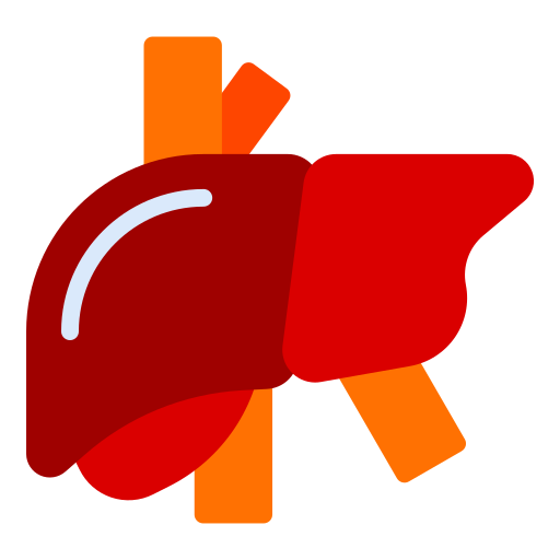 Liver Generic color fill icon