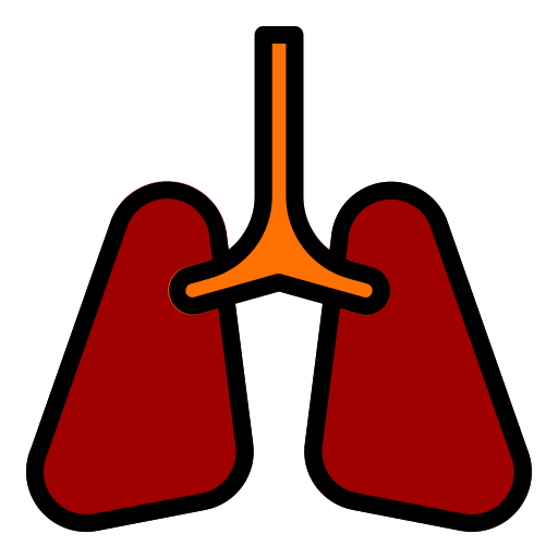 pulmões Generic color lineal-color Ícone