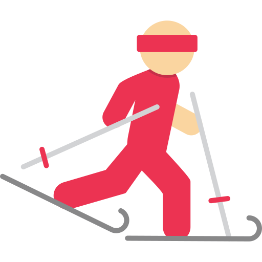 Ski Generic color fill icon
