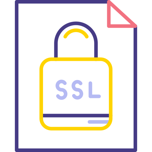 ssl Generic color outline icon