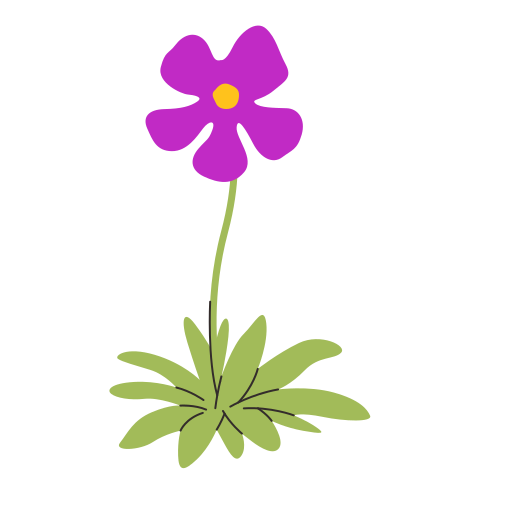 roślina mięsożerna Generic color fill ikona