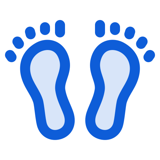 Footprints Generic color lineal-color icon