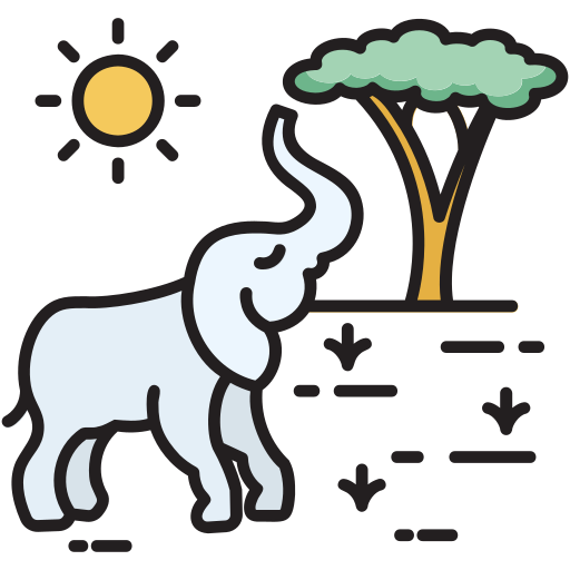 safari Generic color lineal-color icono