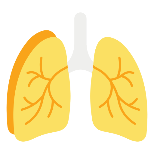 polmone Generic color fill icona