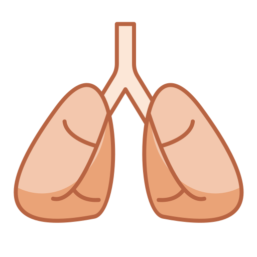 肺 Generic color lineal-color icon