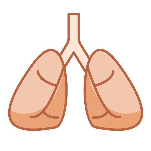 pulmones Generic color lineal-color icono