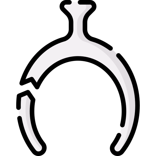 Wishbone Special Lineal color icon