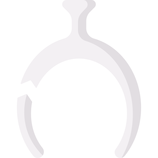 espoleta Special Flat icono