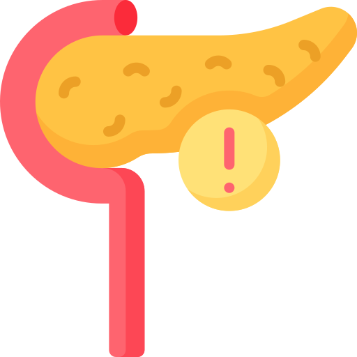 Pancreas Special Flat icon