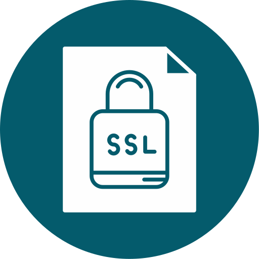 ssl Generic color fill icon