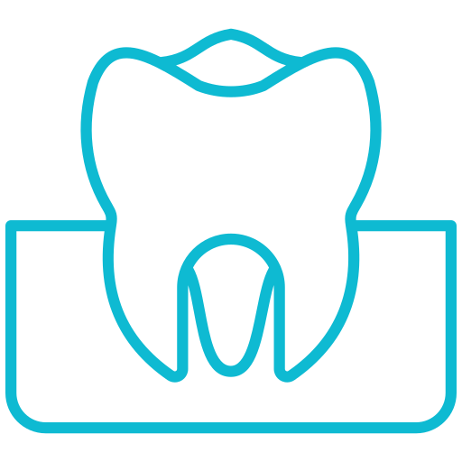 molare Generic color outline icona