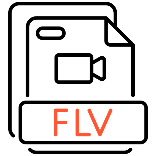 flv Generic color outline Icône