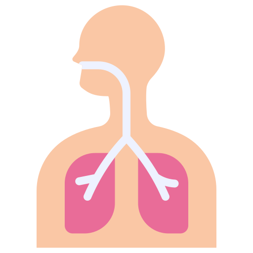 呼吸器系 Generic color fill icon