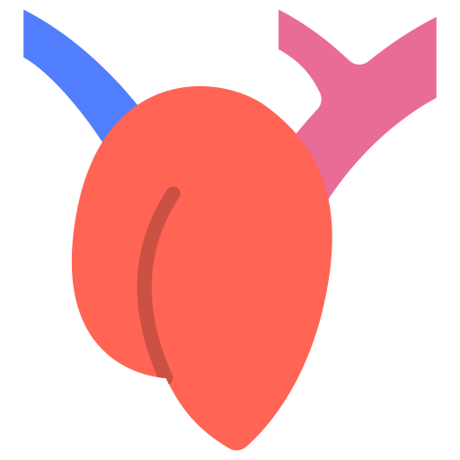 Сердце Generic color fill иконка