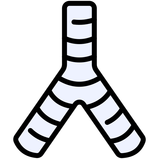 Trachea Generic color lineal-color icon