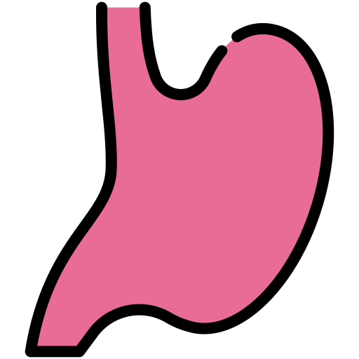 胃 Generic color lineal-color icon