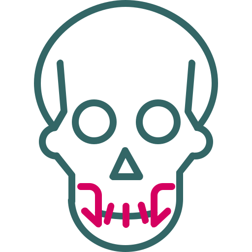 cranio Generic color outline icona