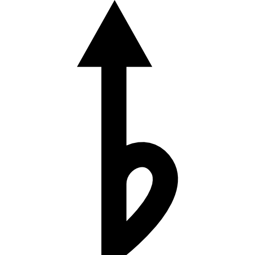 플랫  icon