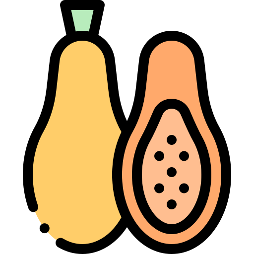 papaya Detailed Rounded Lineal color icono
