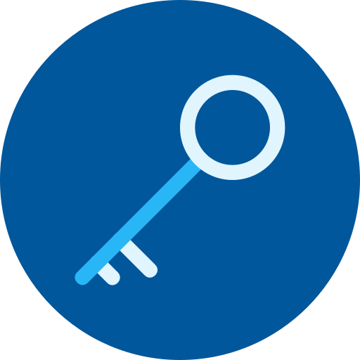 Key Generic color fill icon