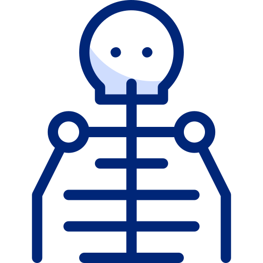 Skeleton Basic Accent Lineal Color icon
