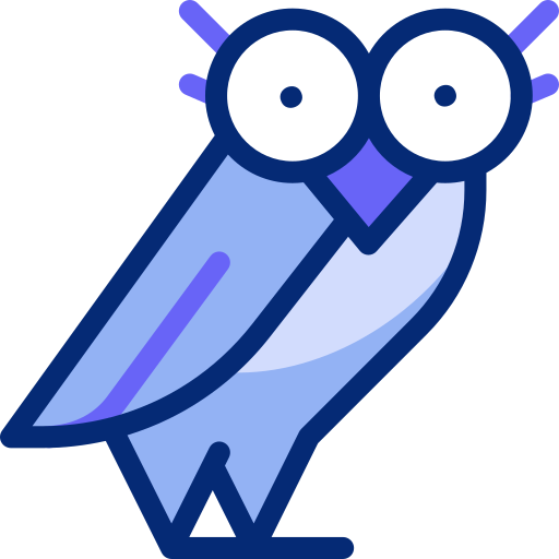 Owl Basic Accent Lineal Color icon